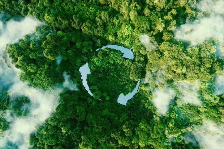 Roots of Change: How Tree Planting Transforms Communities