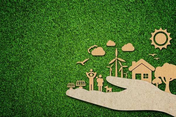 The Green Legacy: Why Every Tree Counts